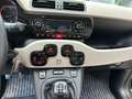 Fiat Panda Panda 1.3 mjt 16v Antartica 4x4 75cv Verde - thumbnail 22