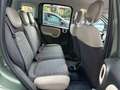 Fiat Panda Panda 1.3 mjt 16v Antartica 4x4 75cv Verde - thumbnail 13