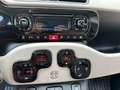 Fiat Panda Panda 1.3 mjt 16v Antartica 4x4 75cv Verde - thumbnail 24