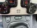 Fiat Panda Panda 1.3 mjt 16v Antartica 4x4 75cv Verde - thumbnail 19