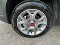 Fiat Panda Panda 1.3 mjt 16v Antartica 4x4 75cv Verde - thumbnail 20