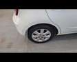 Nissan Micra 5 Porte 1.2  Acenta Blanco - thumbnail 22