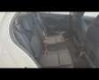Nissan Micra 5 Porte 1.2  Acenta Blanco - thumbnail 15