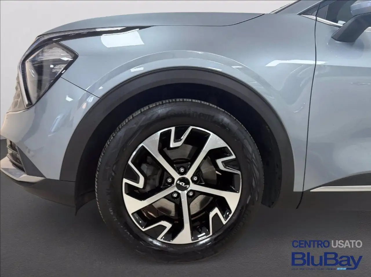 Kia Sportage 1.6 TGDi MHEV Business 17