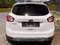 Ford Kuga Kuga 2,0 Trend 4x4 TDCI DPF Trend Weiß - thumbnail 4