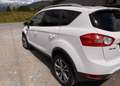 Ford Kuga Kuga 2,0 Trend 4x4 TDCI DPF Trend Weiß - thumbnail 14