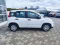 Fiat Panda 1.0 FireFly S&S Hybrid Weiß - thumbnail 4