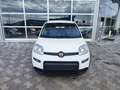 Fiat Panda 1.0 FireFly S&S Hybrid Weiß - thumbnail 2