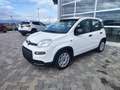 Fiat Panda 1.0 FireFly S&S Hybrid Weiß - thumbnail 1