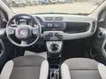 Fiat Panda 1.0 FireFly S&S Hybrid Weiß - thumbnail 12