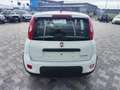Fiat Panda 1.0 FireFly S&S Hybrid Weiß - thumbnail 6