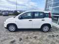 Fiat Panda 1.0 FireFly S&S Hybrid Weiß - thumbnail 8