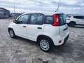 Fiat Panda 1.0 FireFly S&S Hybrid Weiß - thumbnail 7