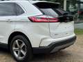 Ford Edge 2.0L SEL AWD Full-Options Wit - thumbnail 6