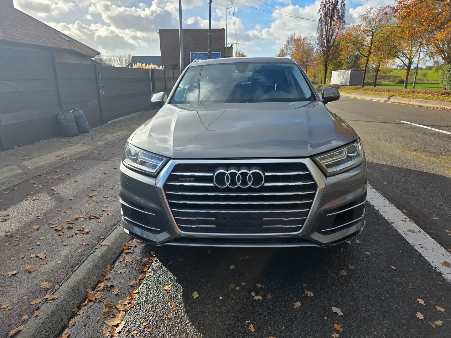 Audi Q7 3.0 TDi V6 ultra Quattro Tiptronic 7pl. FULL OPTIE Grigio - 2