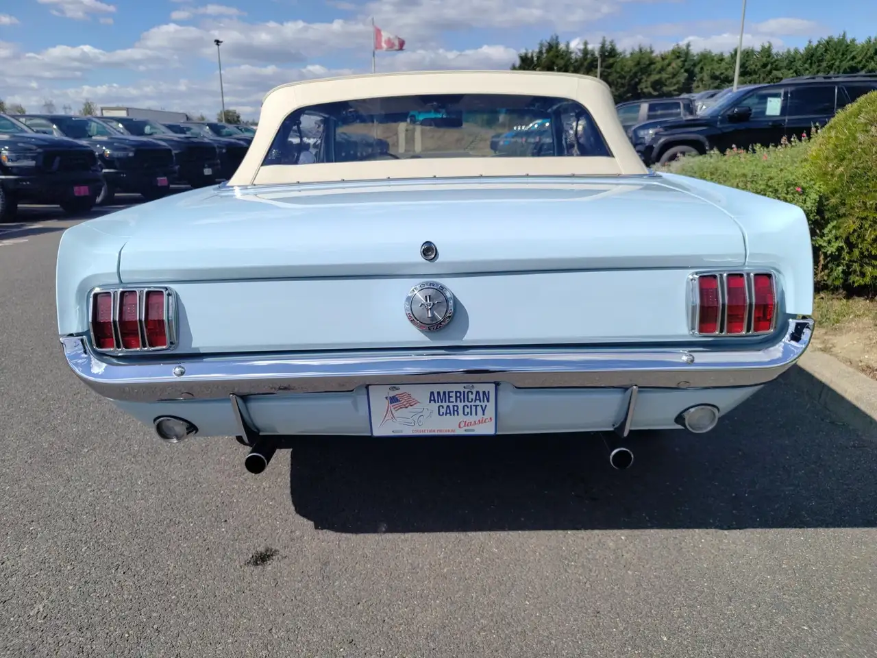 Ford Mustang Cabriolet 289 code A toutes options, foto 8