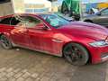 Jaguar XF 25d AWD Sportbrake Aut. R-Sport - thumbnail 5