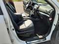 Kia Sorento Platinum Edition 4WD Blanc - thumbnail 12