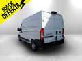 Fiat Ducato L2 H2 33 Q.LI  2.200 DS 140 CV Blanco - thumbnail 3