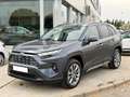 Toyota RAV 4 2.5 hybrid 2WD Luxury Burdeos - thumbnail 1