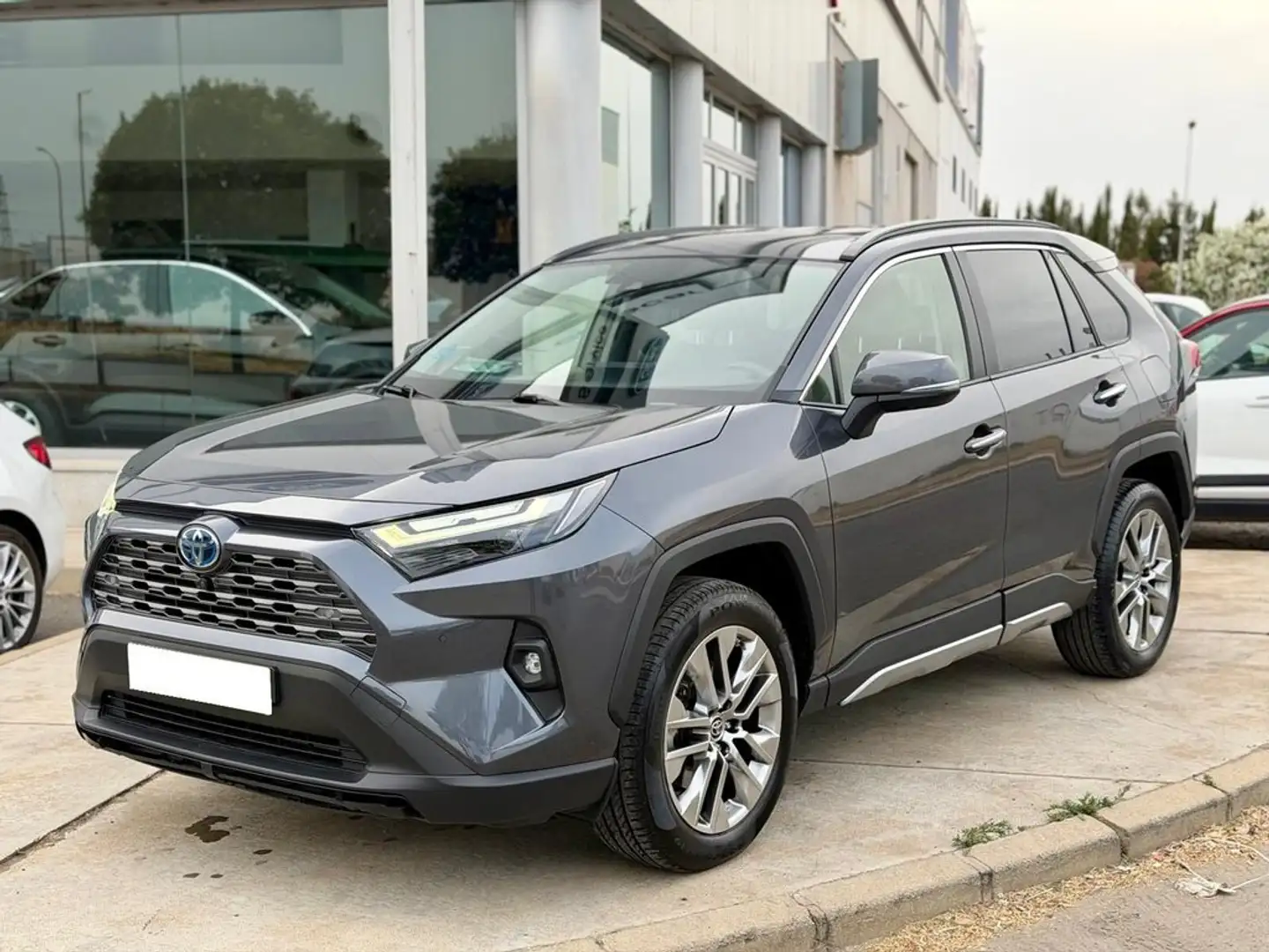Toyota RAV 4 2.5 hybrid 2WD Luxury Burdeos - 1