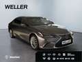 Lexus ES 300 h Luxury Line *Matrix*Leder*HUD*360°*4xSHZ* Gris - thumbnail 4