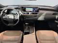 Lexus ES 300 h Luxury Line *Matrix*Leder*HUD*360°*4xSHZ* Gris - thumbnail 12