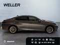 Lexus ES 300 h Luxury Line *Matrix*Leder*HUD*360°*4xSHZ* Gris - thumbnail 10