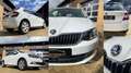 Skoda Fabia Ambition Klima SHZ Tempomat PDC v/h DAB Weiß - thumbnail 7