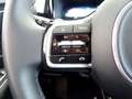 Kia Sorento 1.6 T-GDI PHEV DRIVE 4WD 265 5P 7 Plazas Rood - thumbnail 23