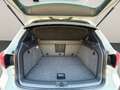 Volkswagen Tiguan 2.0 TDI R-LINE / 4-MOTION ALLRAD / TEMPOMAT / PA Weiß - thumbnail 13