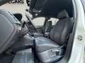 Volkswagen Tiguan 2.0 TDI R-LINE / 4-MOTION ALLRAD / TEMPOMAT / PA Weiß - thumbnail 12