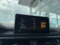 Audi A4 Avant 2.0 TDI Design Pro Line Plus Spring Advantag Grau - thumbnail 14
