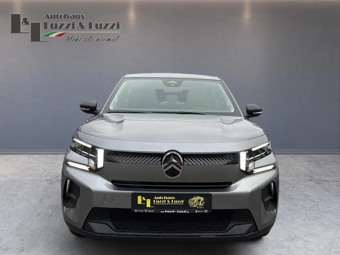 Citroen C3 PureTech 100 S&S You Grigio - 2