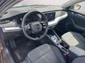 Skoda Octavia Combi 2.0 TDI Style CarPlay AHK*StandHz* Brun - thumbnail 12