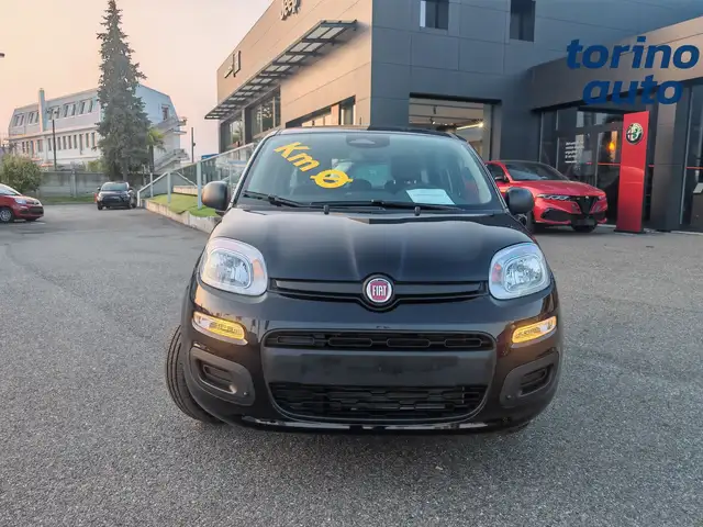 Fiat Panda view 2