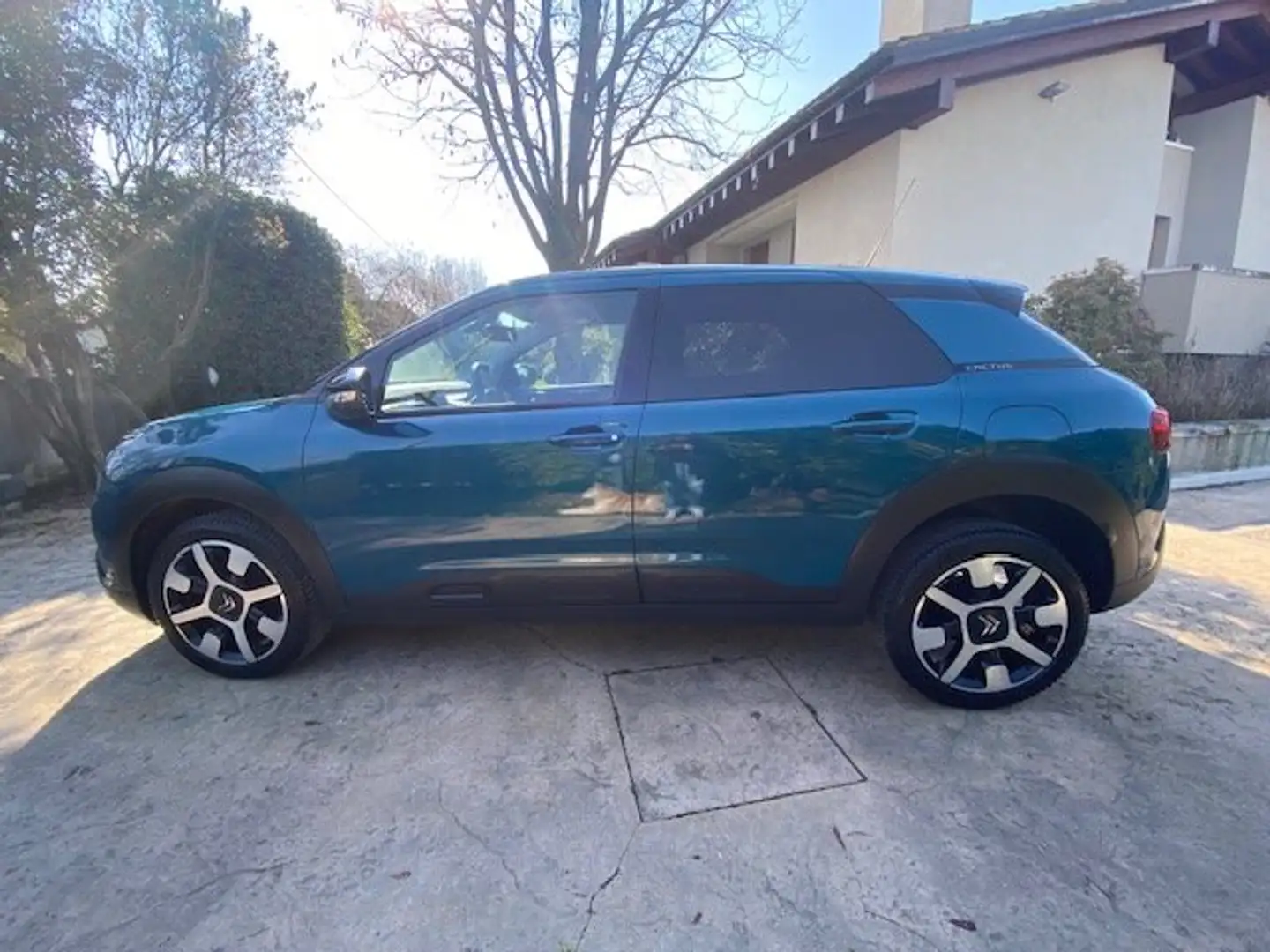Citroen C4 Cactus 1.2 PureTech 110 S&S Shine Blu/Azzurro - 1