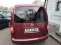 Volkswagen Caddy Kombi Roncalli Ed.- Scheckheft/Inspektion+ZR neu Rot - thumbnail 13