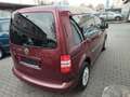 Volkswagen Caddy Kombi Roncalli Ed.- Scheckheft/Inspektion+ZR neu Rot - thumbnail 4