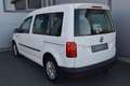 Volkswagen Caddy Kombi 2,0 TDI AHK / NETTO: 14.983 € Weiß - thumbnail 4