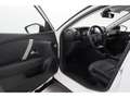 Citroen C4 1.2PureTech Aut.Shine+LED+CARPLAY+HUD+PDC Weiß - thumbnail 12