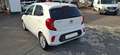 Kia Picanto Dream Team Blanc - thumbnail 5