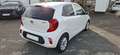 Kia Picanto Dream Team Blanc - thumbnail 7