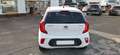 Kia Picanto Dream Team Blanc - thumbnail 6
