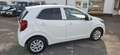 Kia Picanto Dream Team Blanc - thumbnail 8