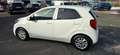 Kia Picanto Dream Team Blanc - thumbnail 4