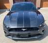 Ford Mustang 2.3-RESTYLING.10 MARCE-CERCHI 20" -IVA ESPOSTA Gris - thumbnail 2