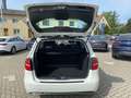 Mercedes-Benz B 200 d Austria Edition Style PTS Shz LED Klima Weiß - thumbnail 15