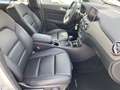 Mercedes-Benz B 200 d Austria Edition Style PTS Shz LED Klima Weiß - thumbnail 16