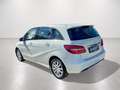 Mercedes-Benz B 200 d Austria Edition Style PTS Shz LED Klima Weiß - thumbnail 4